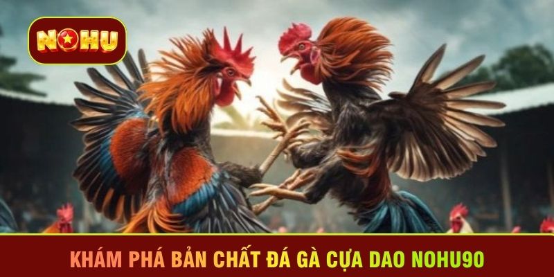 Khám phá bản chất đá gà cựa dao Nohu90