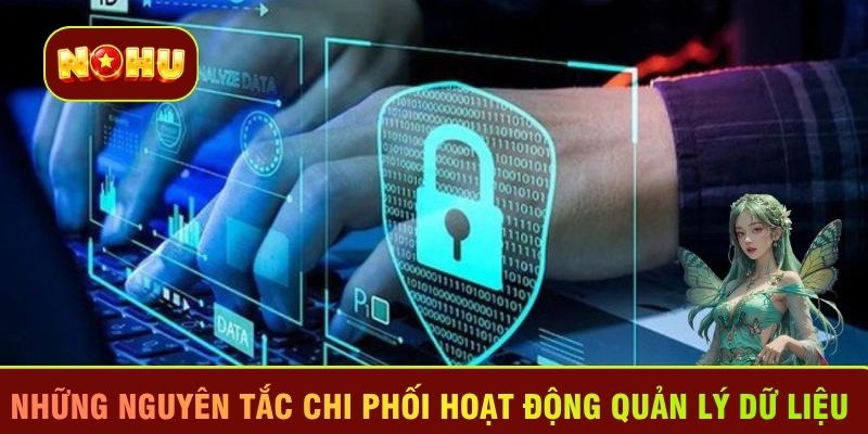Những nguyên tắc chi phối hoạt động quản lý dữ liệu 