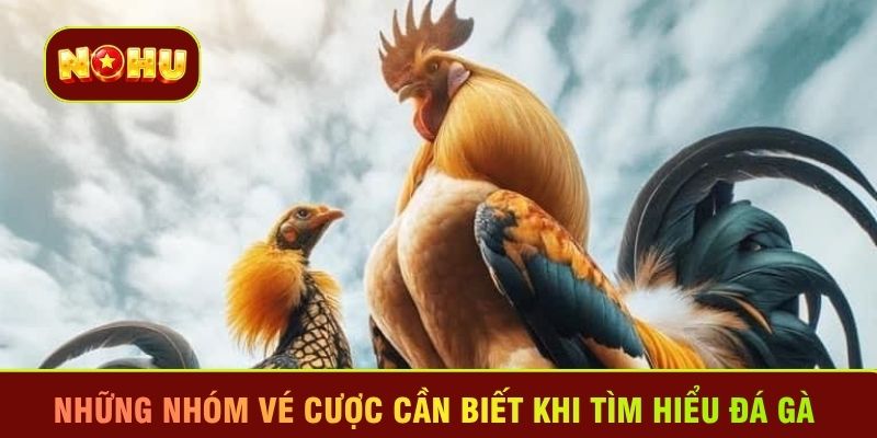 Những nhóm vé cược cần biết khi tìm hiểu đá gà 