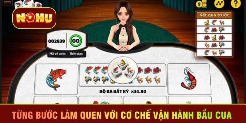 Từng bước làm quen với cơ chế vận hành Bầu cua